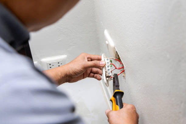 Best Electric Panel Repair  in Mulvane, KS